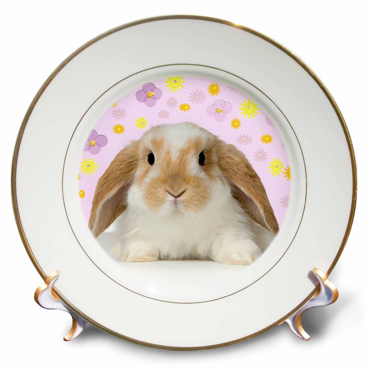 East Urban Home Rabbit Porcelain Decorative Plate Wayfair